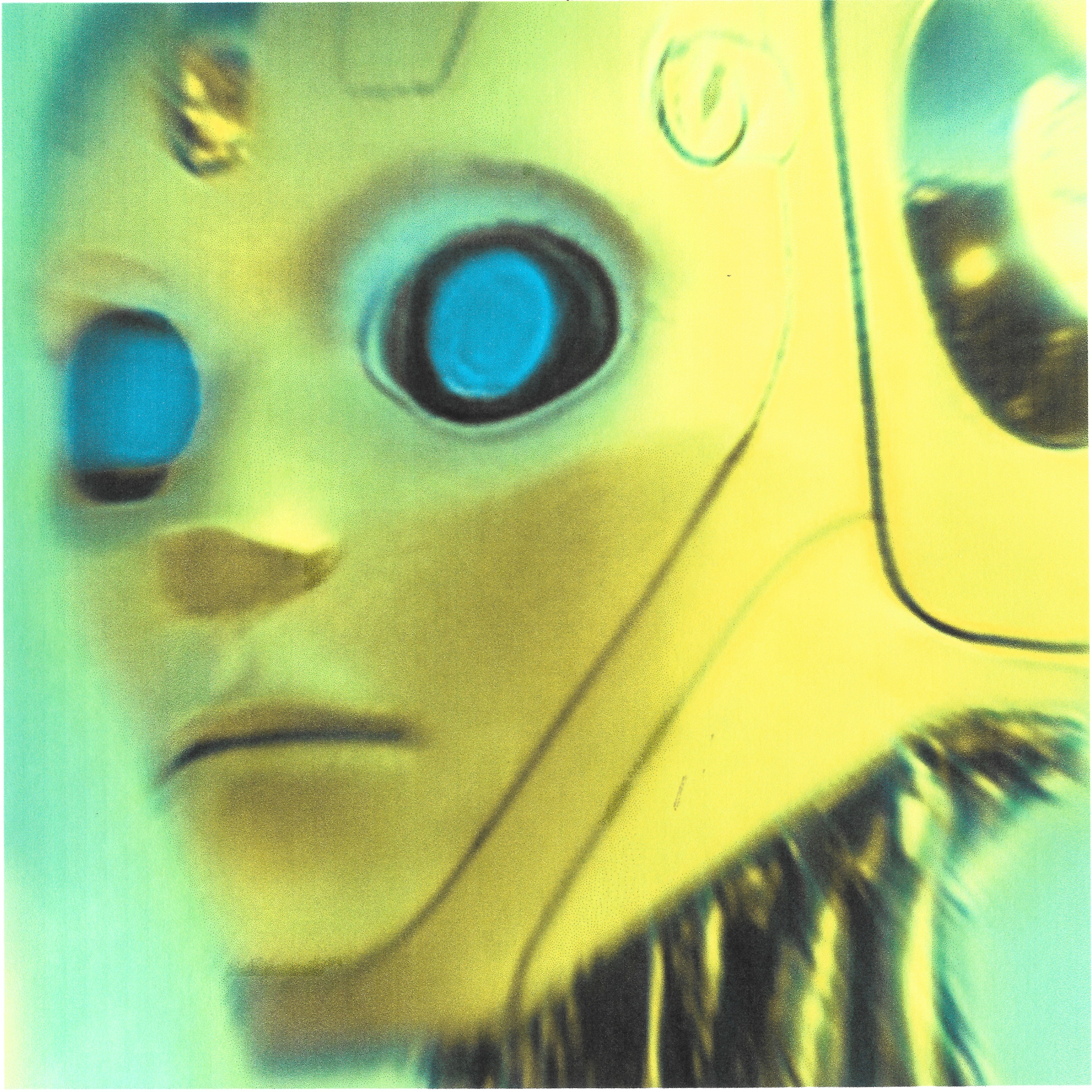 Duwang Gang's song "Rock the Robot"